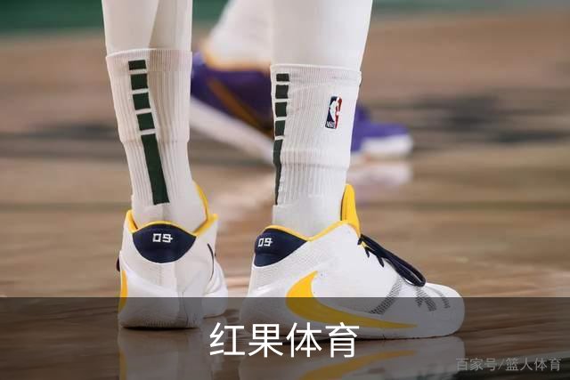 红果体育 公司简介